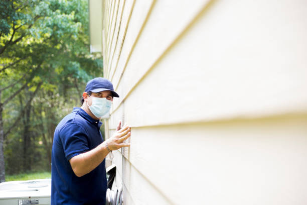 Best Historical Building Siding Restoration  in Lakeland, MN